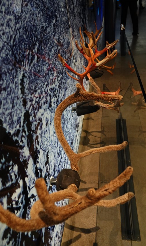 23F8B598-9ECF-4407-A81F-4E3A9A0C1433_1_201_a